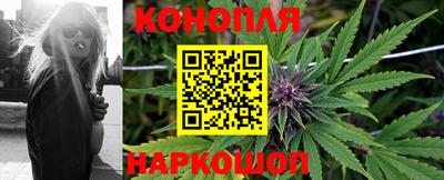 гашик Ипатово